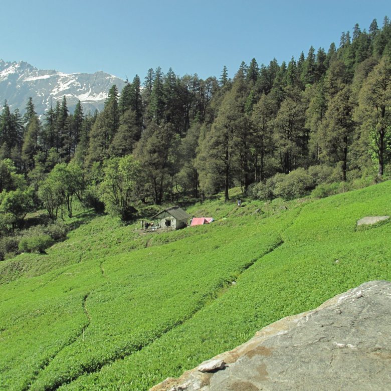 Nada Thach GHNP Kobri Top Trek Tirthan Valley GHNP treks