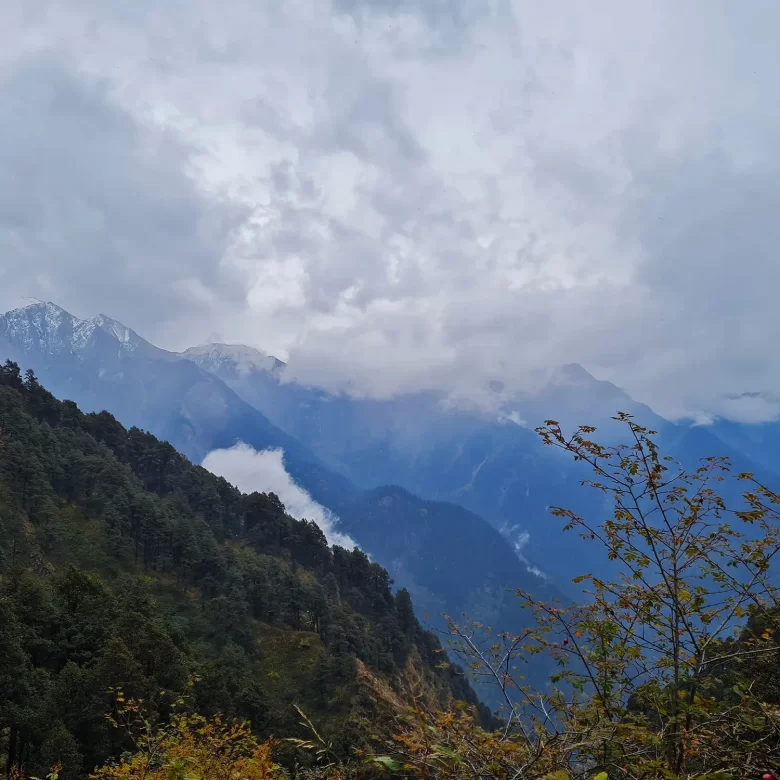 Ghumatarao Rakhundi Trek Tirthan Valley Great Himalayan National Park Sainj valley