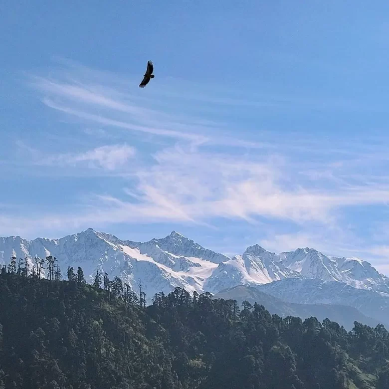 rangthar trek ghnp trek with tek great himalayan national park tirthan valley